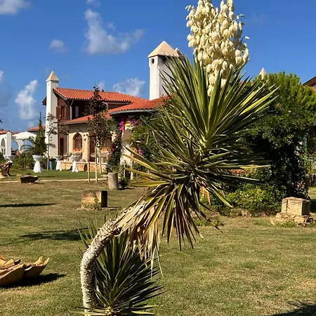 Hotel Tarihi Kumbaba *