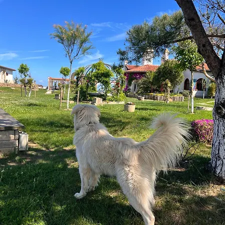 Hotel Tarihi Kumbaba