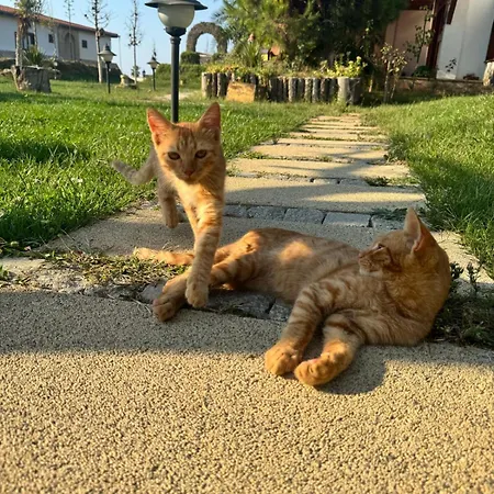 Tarihi Kumbaba Hotel