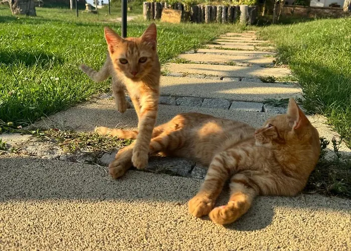 Tarihi Kumbaba 호텔