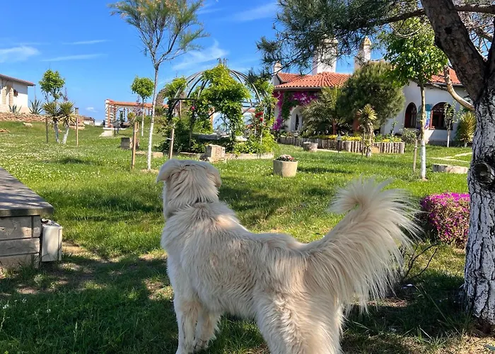 호텔 Tarihi Kumbaba